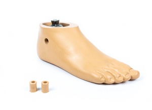 オハイオ単軸足部