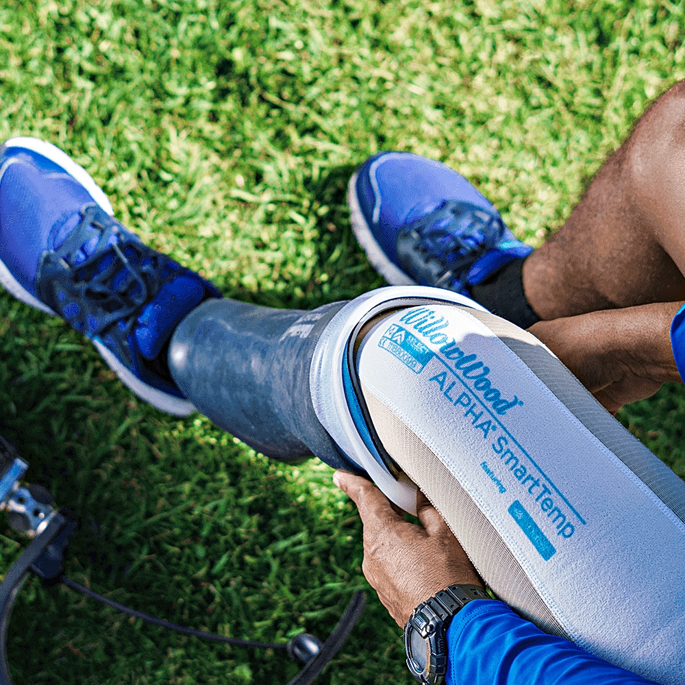 WillowWood (ウィローウッド)